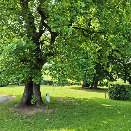 Kaleo Wanne Auberge de jeunesse Trois-Ponts